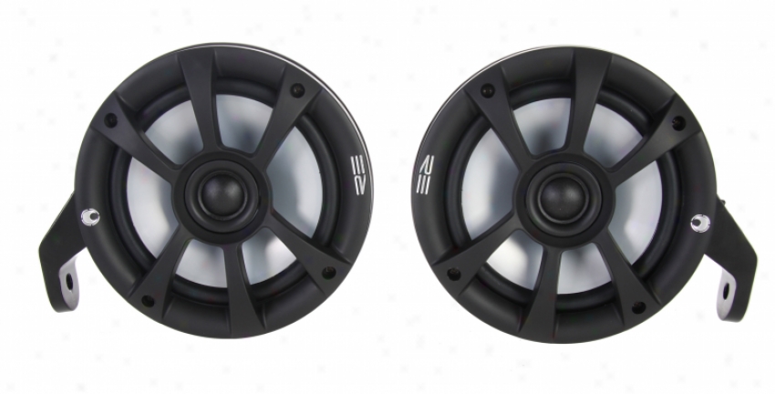 High Blunt Single Speaker 2.25-2.50 Wicked