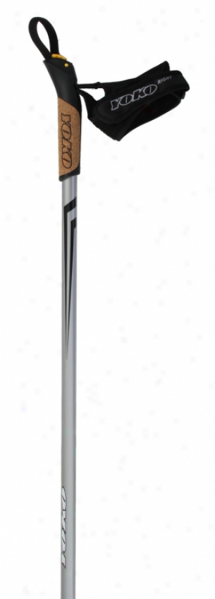 Alpina Yoko 4200 Ski Poles Grey