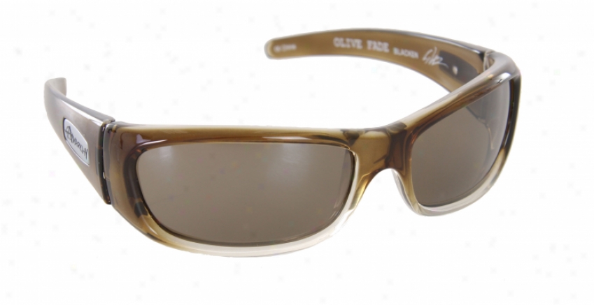 Anarchy Blacken Sunglasses Olive Fade/olive Lens