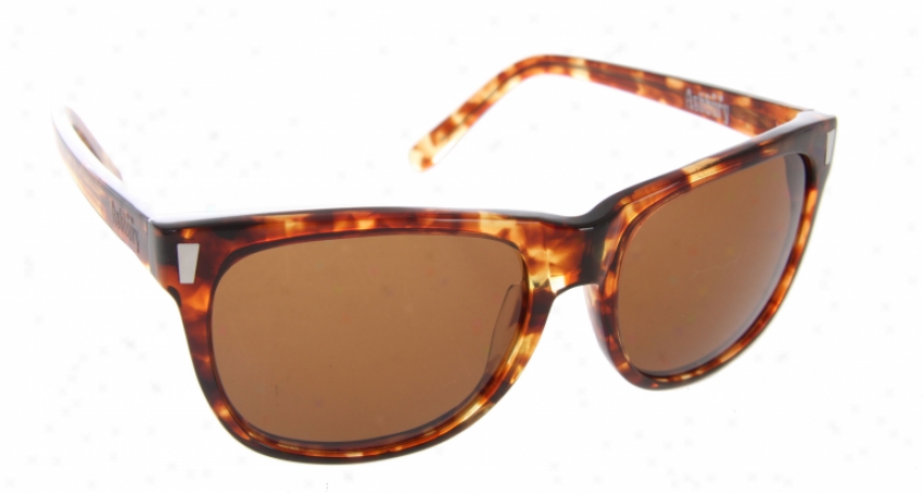 Ashbury Appointed time Tripper Sunglasses rBown Tortoise