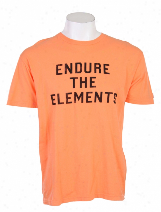 Element Endure T-shirt Orange