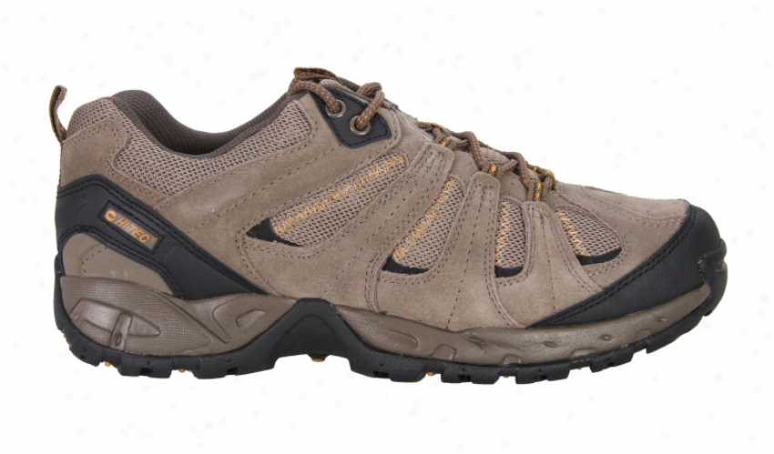 Hitec Multiterra Vector Hiking Shoes Dk Tau/tau/inca Gld