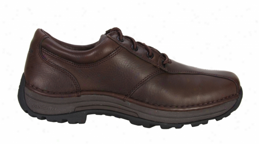 Irish Setter Trailblazer Oxford Hiking Shoes Brown