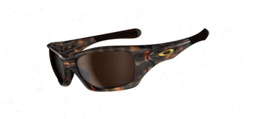 Oakley Pit Bull Sunglasses Brown Tortoise W/ Dark Bronze