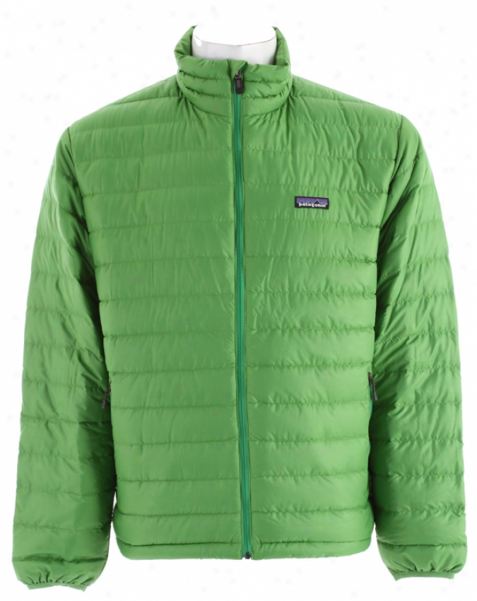 Patagonia Into disrepute Sweater Jacket Fennel
