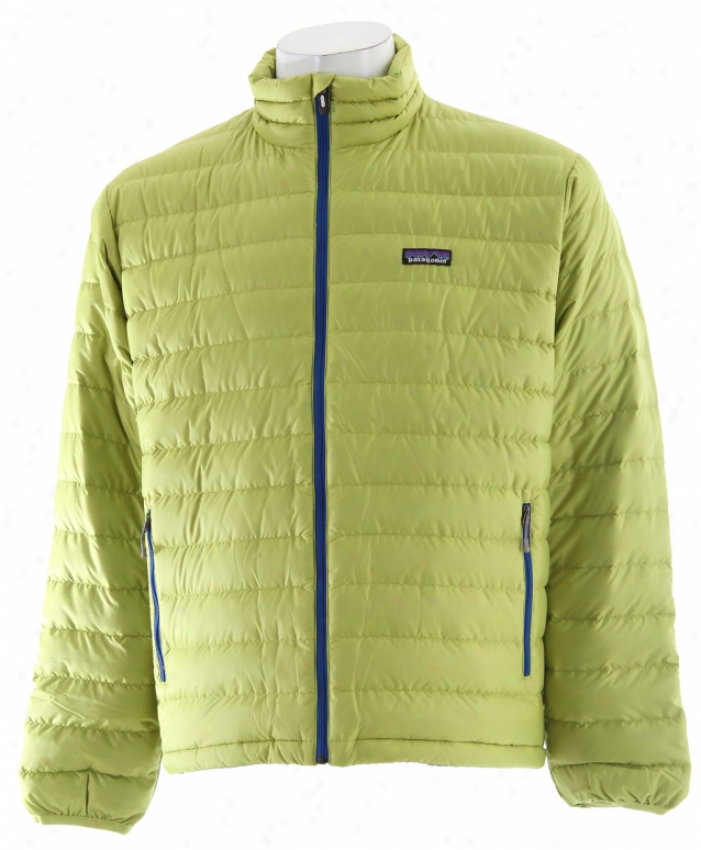 Patagonia Down Sweater Jacket Light Gecko Green