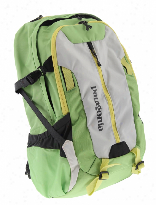 Patagonia Refugio Backpack Prickly Pear 28l