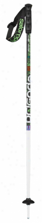 Salomon Brigade Team Ski Poles Black/white