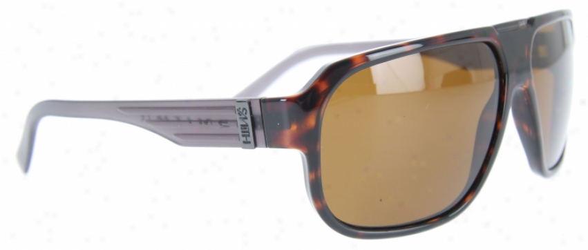 Simth Gibson Sunglasses Havana/polarized Brown Lens