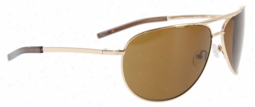 Smith Srrpico Sunglasses Gold/polarized Brown Lens