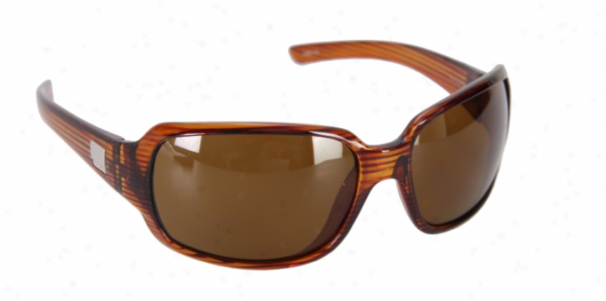 Suncloud Cookie Sunglasses Whiskey Stripe/brown Polarized Lene