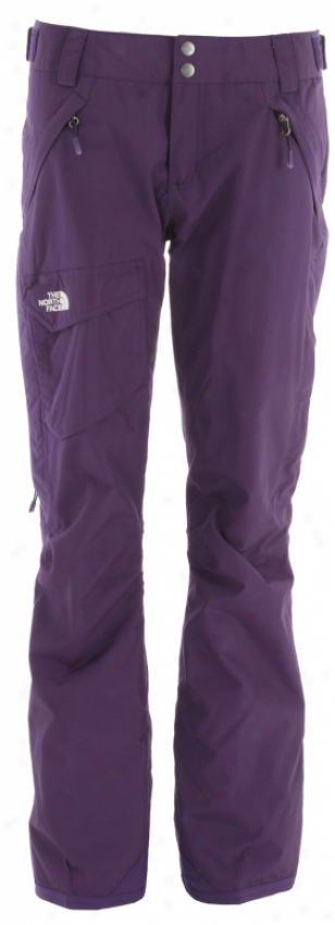 The North Face Freedom Lrbc Insulated Ski Pants Deep Purple