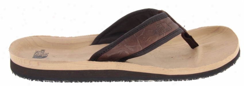 The North Face Tree Point Sandals Demitasse Brown/fark Earth Brown