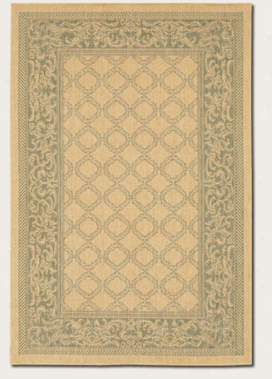 2' X 3'7&quot Area Rug Trwnsi5ional Style With Green Border In Natural