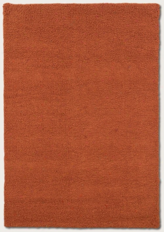 2'6&quot X 4'6&quot Area Rug Contemporary Style In Orange Blossom
