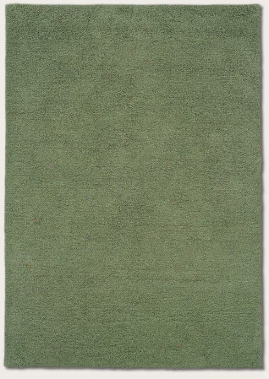 2'6&quot X 4'6&quot Region Rug Contemporary Style In Mint Collor