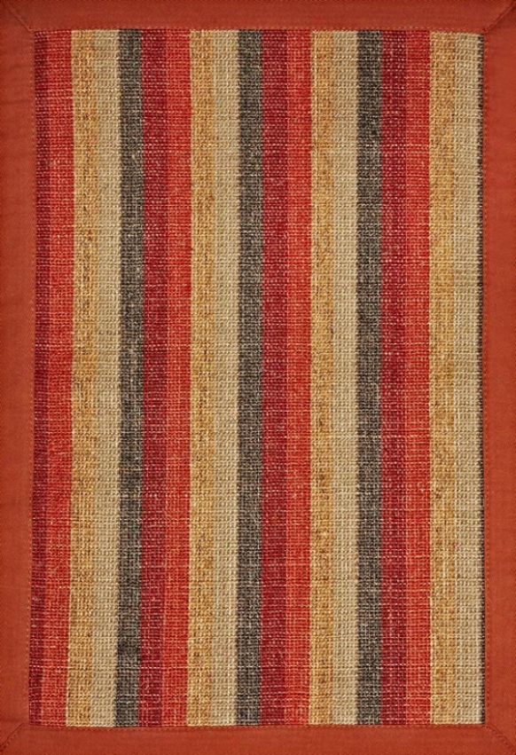 3' X 5' Sisal Area Rug With Autumn Tone Stripes Rust Border