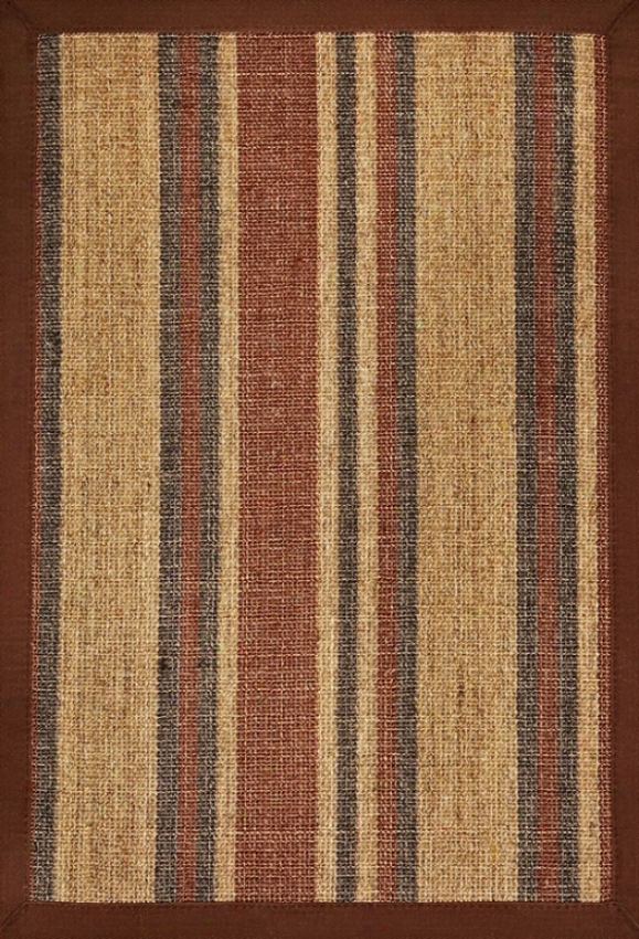 3' X 5' Sisal Area Rug With Earth Tone Stripes Brown Border