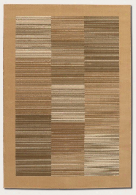 3'11&quot X 5'3&quot Area Rug Slender Stripe Pattern With Tan Border