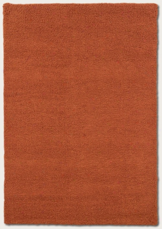 3'6&quot X 5'6&quot Area Rug Contemporary Style In Orange Blossom