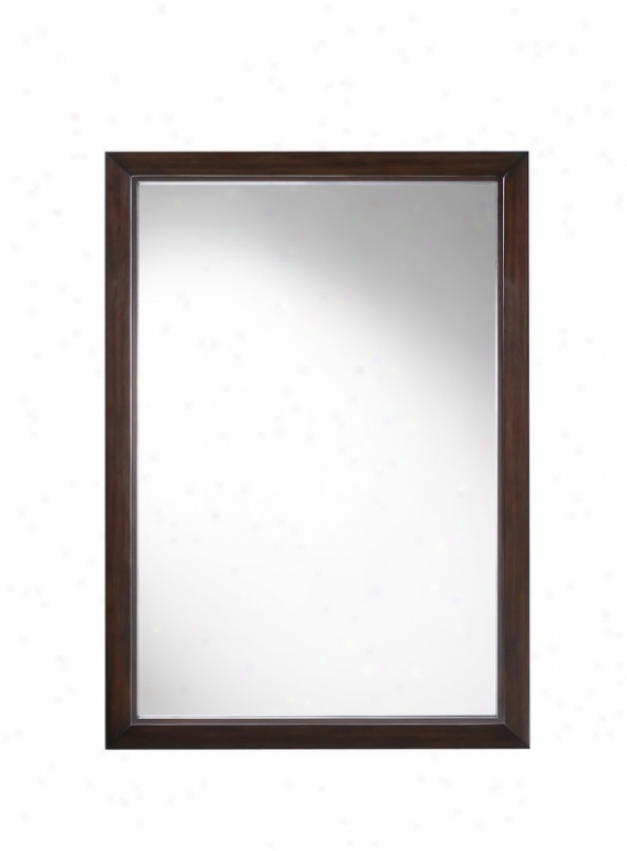 40&quoth Wall Mirror With Fine Mirror Frame In Mocha Finish