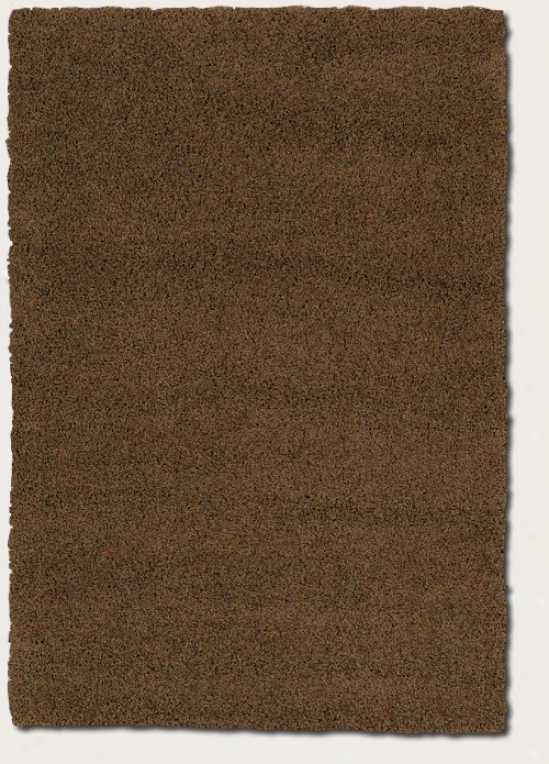 4'7&quot X 6'6&quot Area Rug Contemporary Style In Chocolate Color