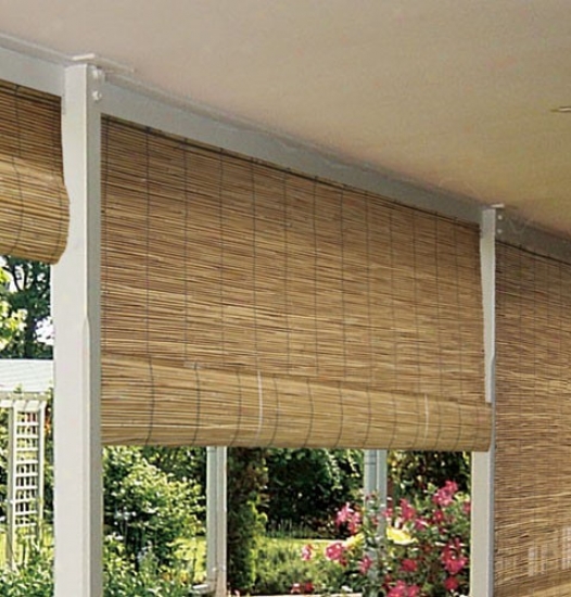 48&quotw Window Treatment Reed Blind In Natural Finish