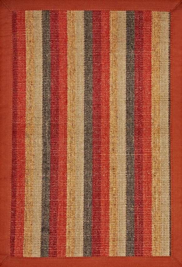 5' X 8' Sisal Area Rug With Autumn Tone Stripes Decay Border