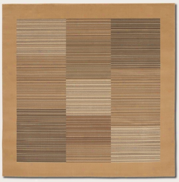 5'3" Square Area Rug Slender Stripe Pattern With Tan Border