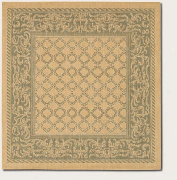 8'6&quot Square Area Rug Trqnsitional Style With Green Border In Natural