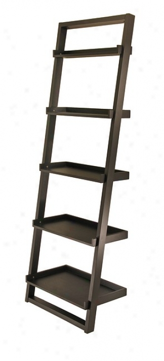 Black Modern Design 5-tier Leaning Shelf Bookcase