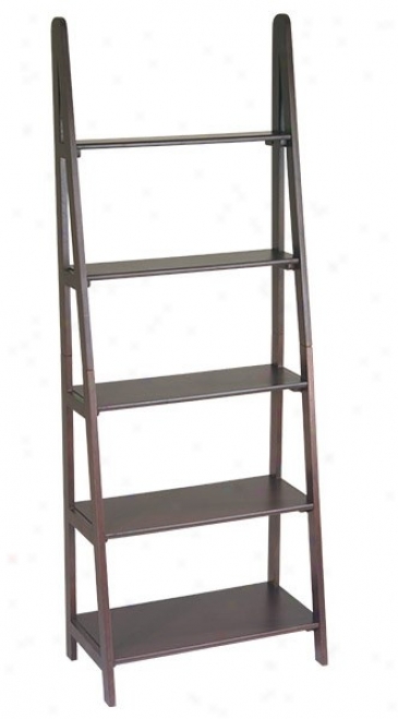 Bookcase With Ladder Design In Espresso Finish