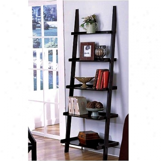 Contemporary Black Finish 5-tier Ladder Book Shelf