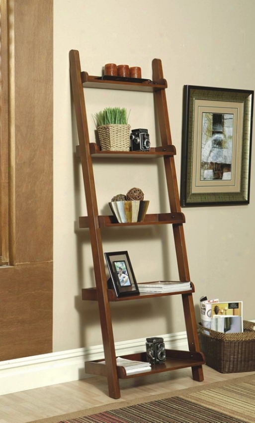 Contemporary Warm Rich Mahogany Book Shelves