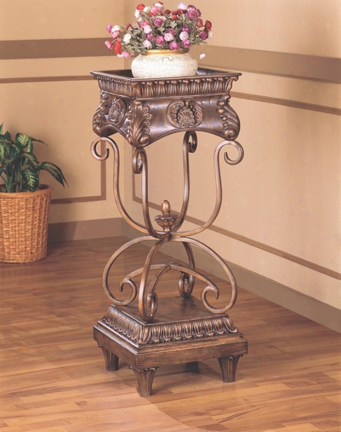 Dark Oak And Gold Finish Capacious Plant Stand