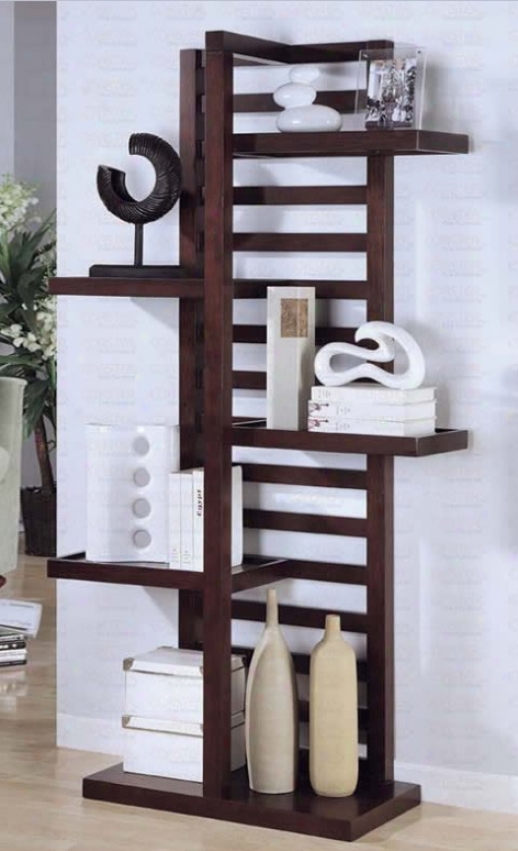 Display Bookcase With Ladder Back In Cappuccino Polish
