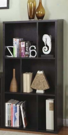 Functional Bookshelf Contemporary Style In Blacck Finish