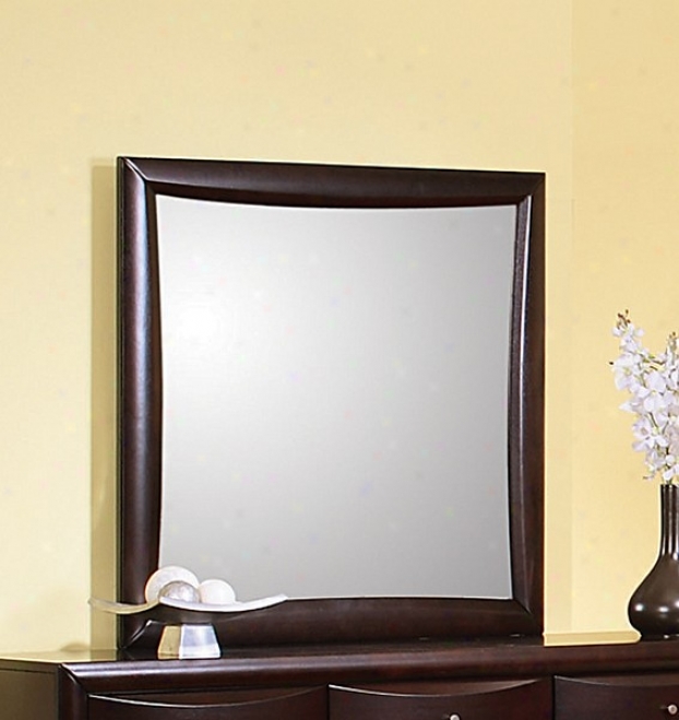 Phoenix Collection Solid Hardwood Framed Mirror