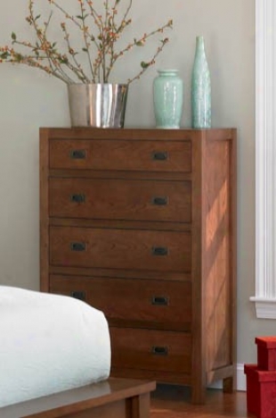 Storage Chest Contemporary Style In Walnut Finish