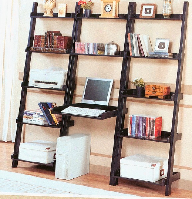 Traditional Style Black Rub Finish Wood Bookshelf & Computer Desk