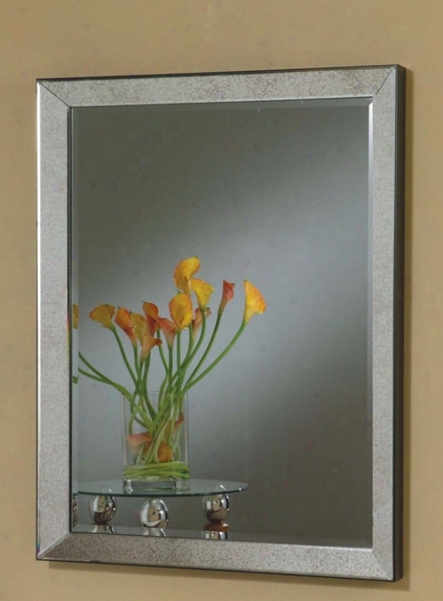 Wall Mirtor Contemporary Style In Bronze Finish