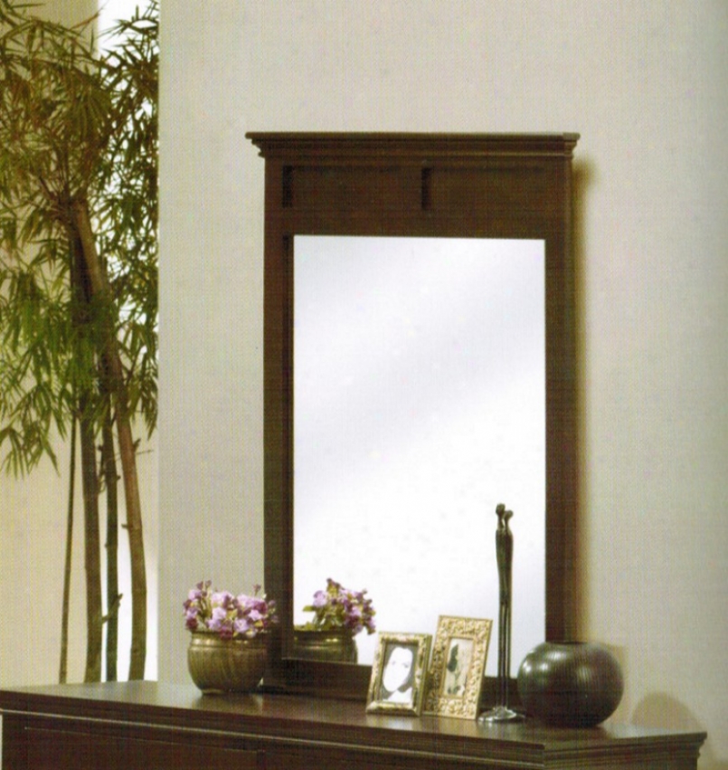 Wall Mirror With Rectangle Shape - Deep Brlwn Finish