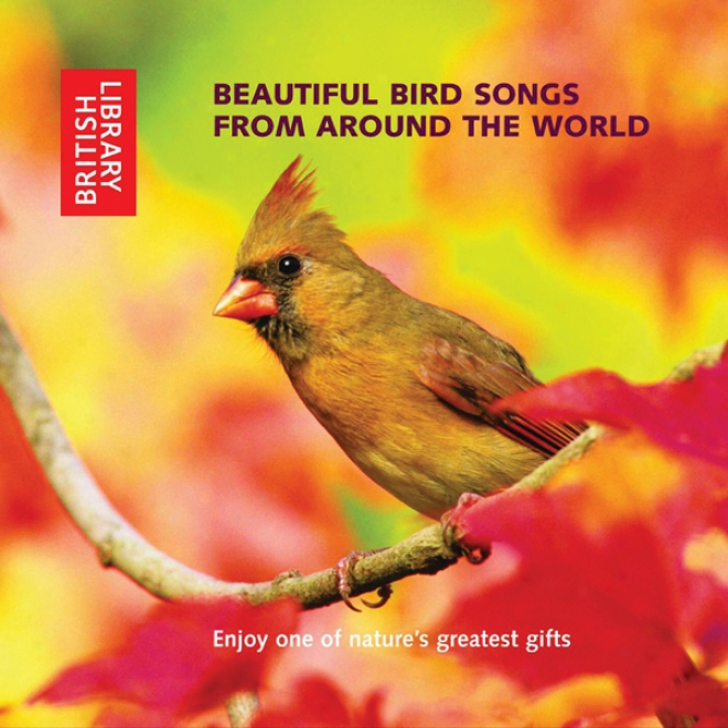 Beautiful Bird Songs From Around The World (unabridged)