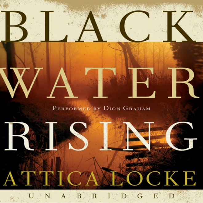 Black Water Rising (unabridged)