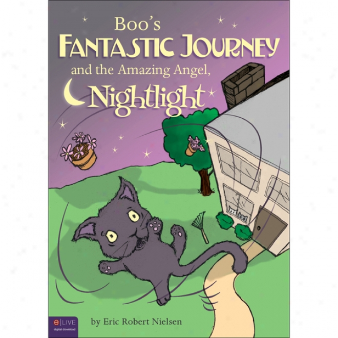 Boo's Fantastic Journey An dThe Astonishing Angel Nightlight (unabridged)