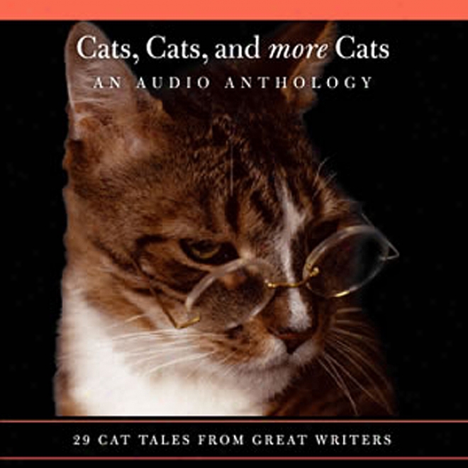 Cats, Cats, And More Cats: An Audio Selections