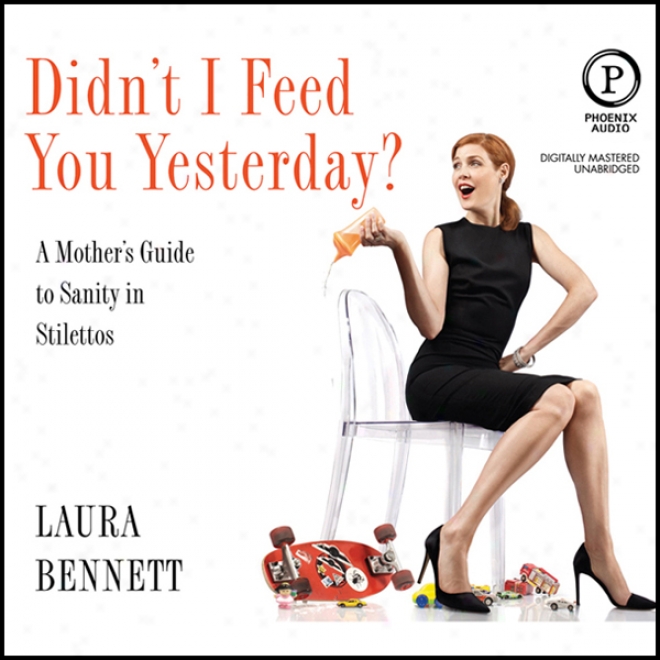 Didn't I Feed You Yesterday?: A Mother's Guide To Sanity In Stilettos (uabridged)