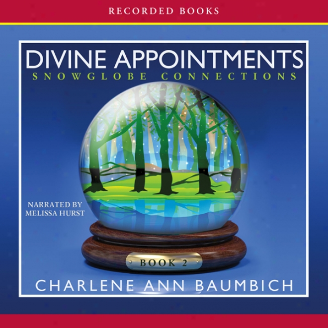 Divine Appointments: A Snowglobe Connections Novel (unabridged)