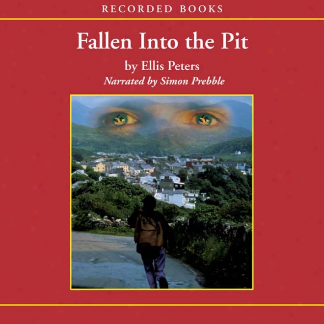 Fallen Into The Pit: An Inspector Felse Mystery (unabridged)