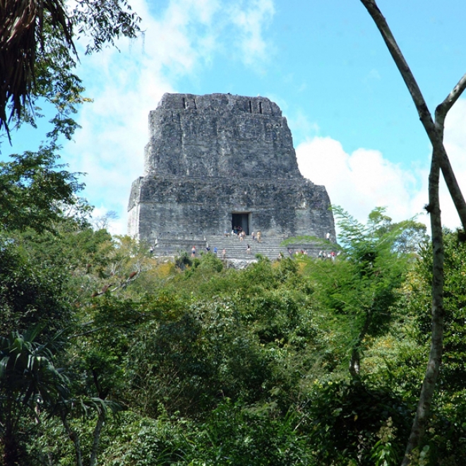 Guatemala's Tikal National Park - Animals And Plants: Audio Journeys (unabridged)